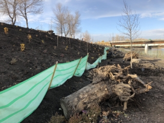 Bank Stabilization City of Calgary, DFH Enterprises
