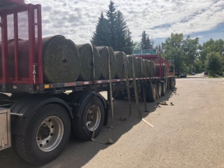 Big Roll Sod Installation