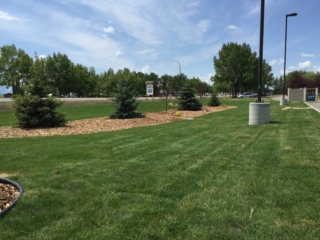 Kneehill County Building Landscape